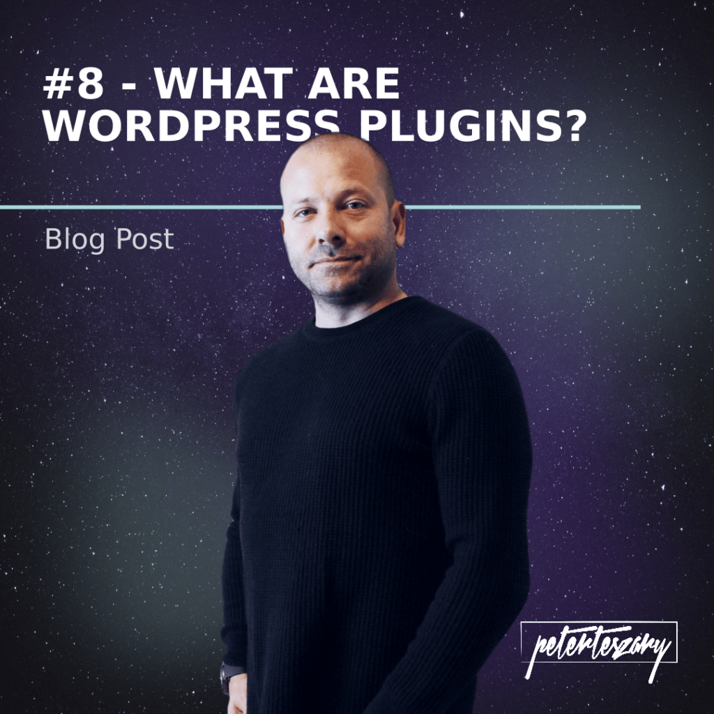what are wordpress plugins